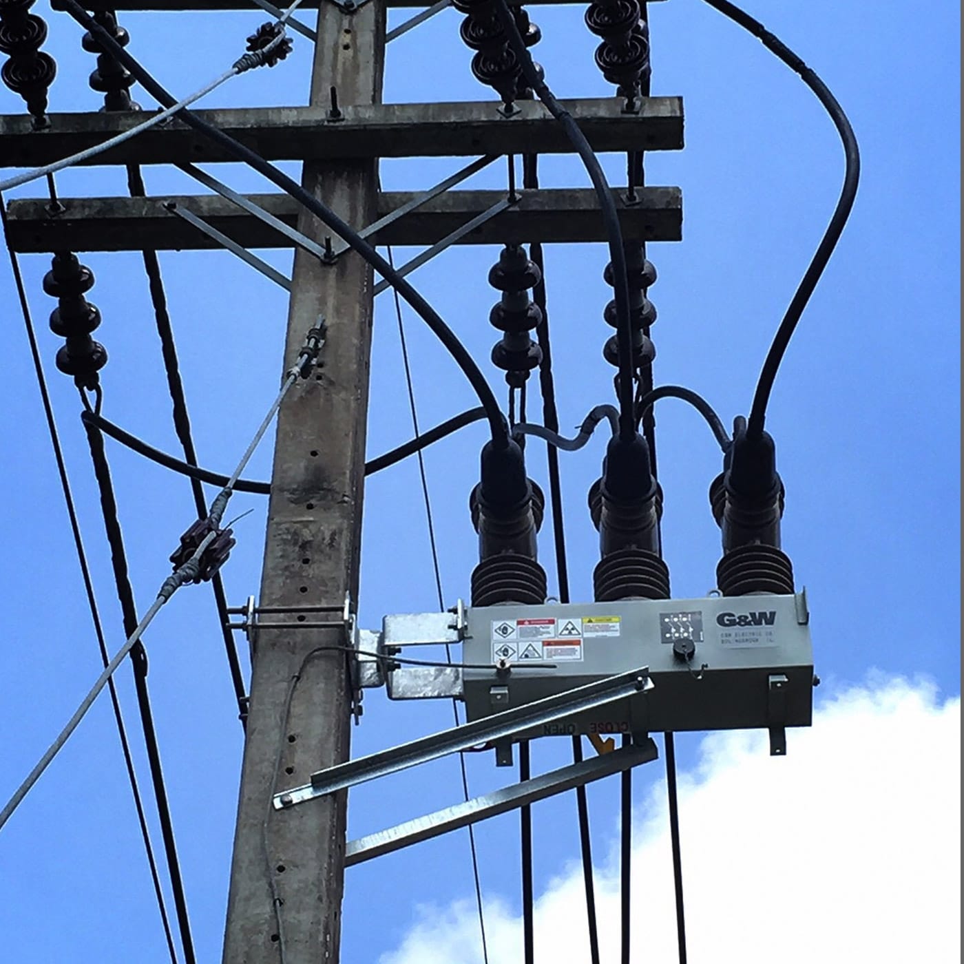 Diamondback on a pole