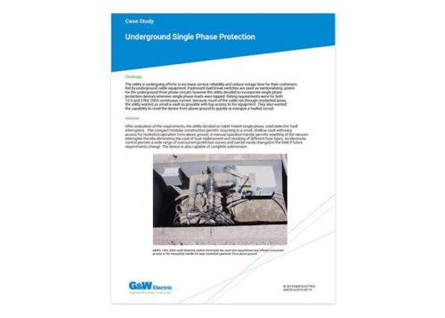 Case Study cover