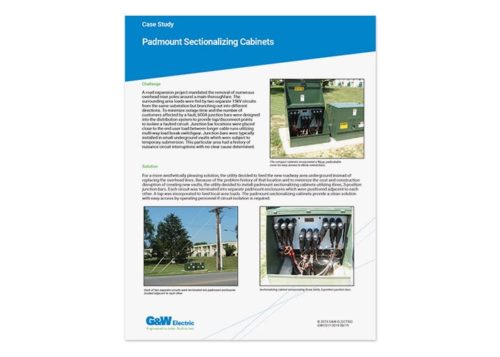 Case Study cover
