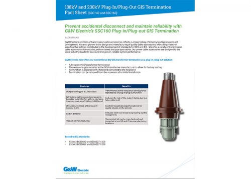 GIS Termination Fact Sheet