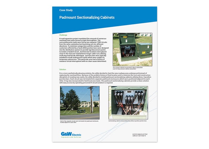 Case Study cover