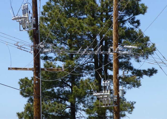 Electric poles in front of trees.
