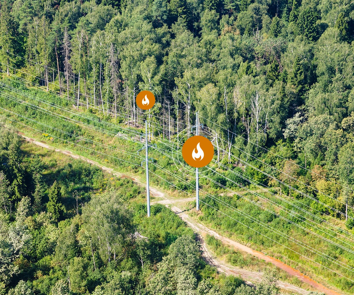 Linhas elétricas na floresta
